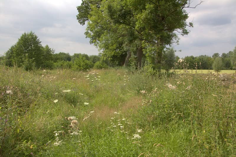 Essenhakhoutbos - Image 2