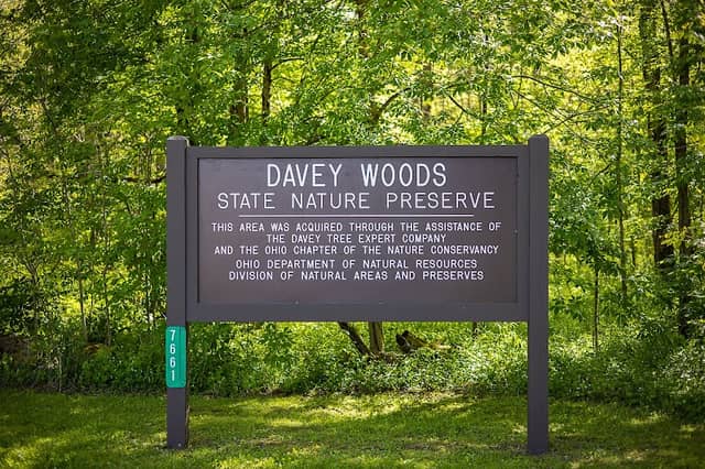 Davey Woods State Nature Preserve - Image 1
