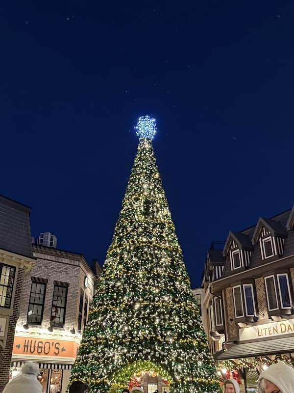 Chilliwack Country Christmas Village - Image 2