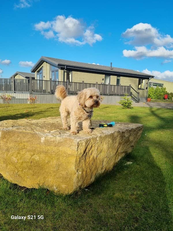 Lakeside Touring Caravan Park - Image 1