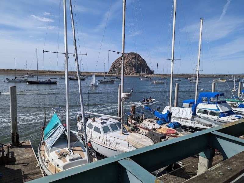 Morro Bay National Estuary Program - Image 2