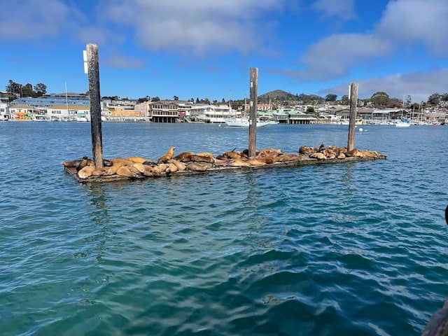 Morro Bay National Estuary Program - Image 3