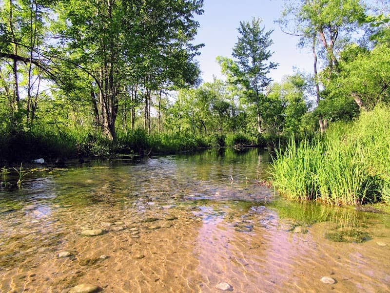 Wheeler NWR - Cave Springs - Image 2