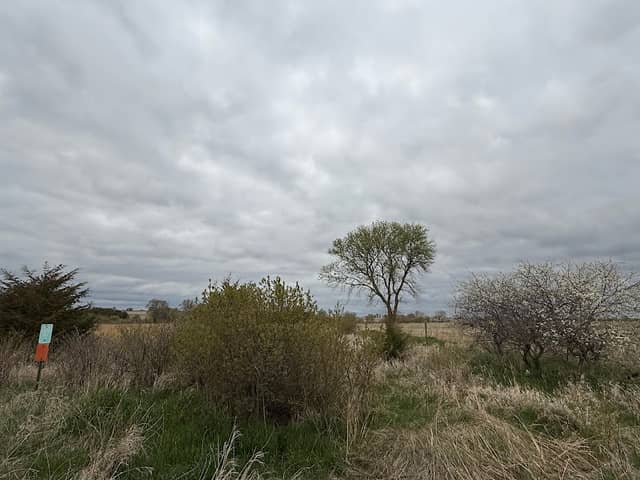Fredericksburg Wildlife Area - Image 1