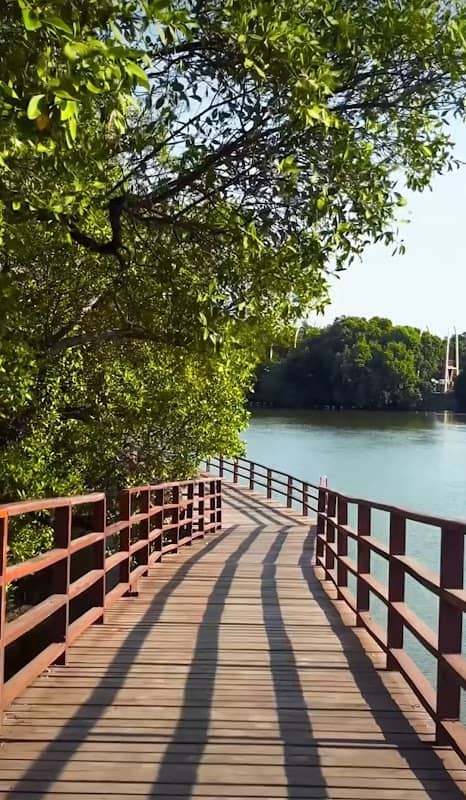 ป้ายโครงการป่าในเมืองจังหวัดระยอง - Image 1