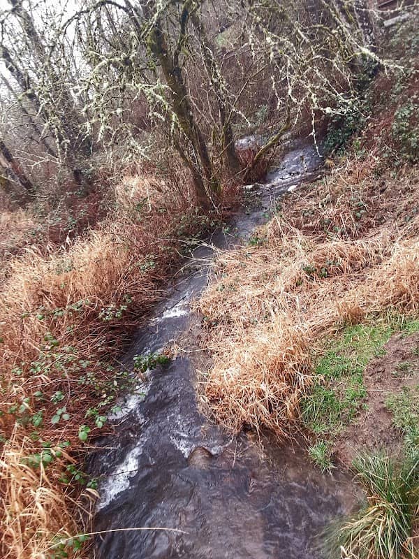 Campen Creek Park - Image 2