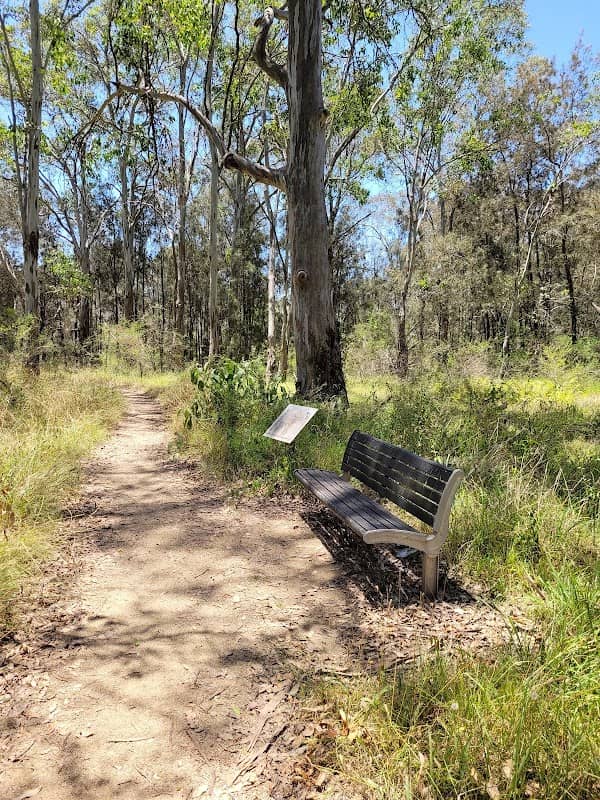 Second Ponds Creek walk - Image 1