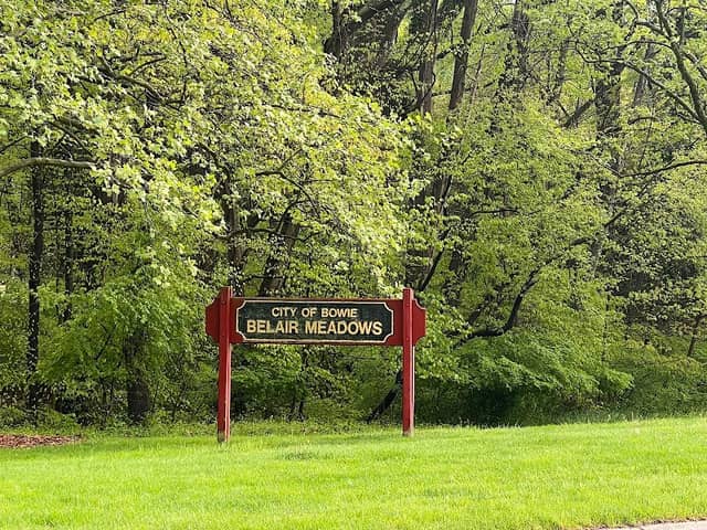 Belair Meadows - Image 2