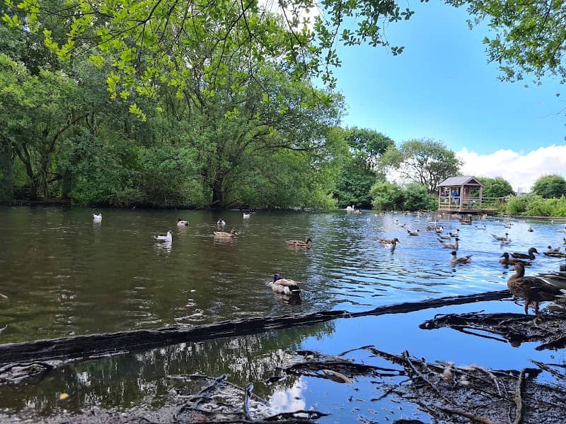 Sophie’s Pond - Image 1
