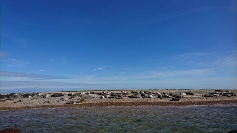Blakeney Point Seal Trips Ptarmigan - Image 1