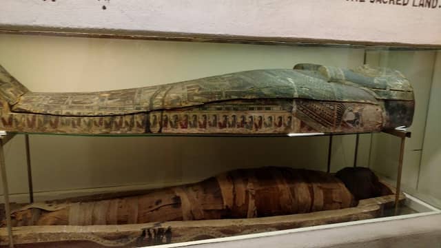 Joseph Moore Museum - Image 1