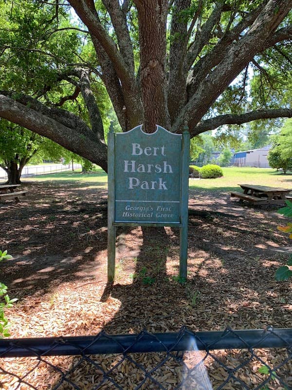 Bert Harsh Park - Image 1