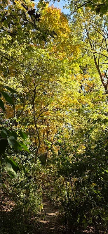 River Trail Park - Image 2