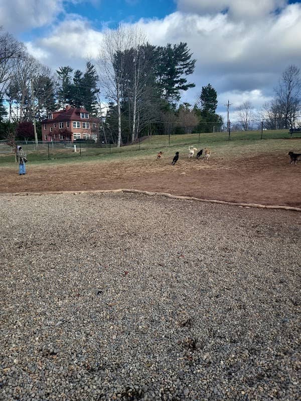 Buncombe County Dog Park - Image 2