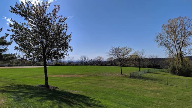 Carl Rehrig Field - Image 1
