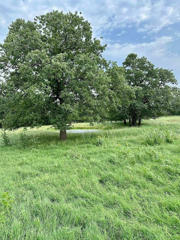 Private Dog Park - Image 1