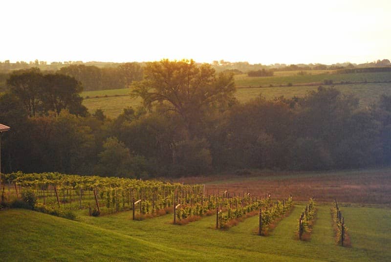 Hawk's Mill Winery - Image 1