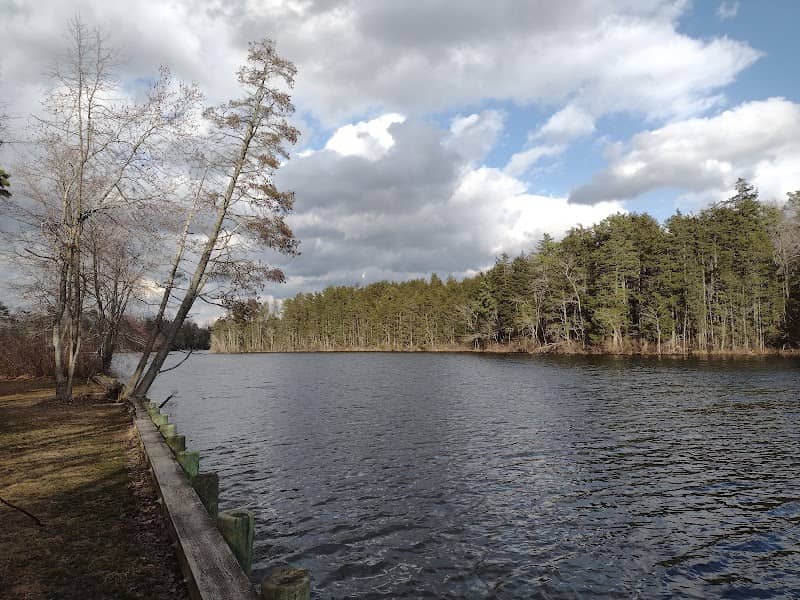 Hammonton Lake Park Trail - Image 1