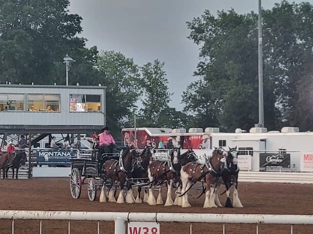 Will Rogers Stampede Arena - Image 1