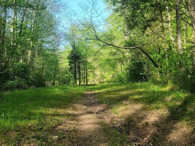 Caldwell Nature Park - Image 1