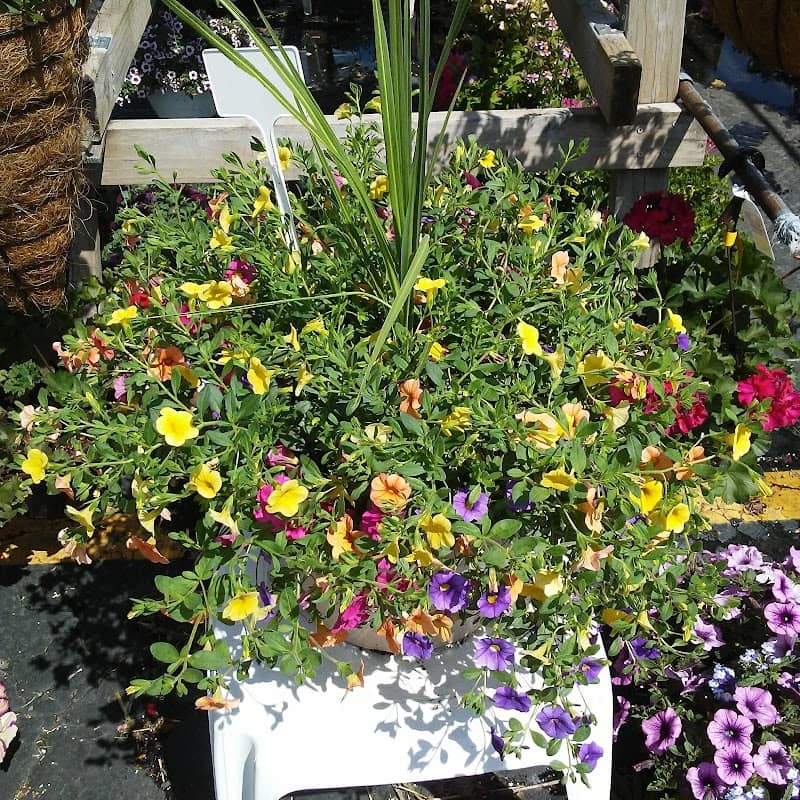 Leah's Flower Garden - Image 1