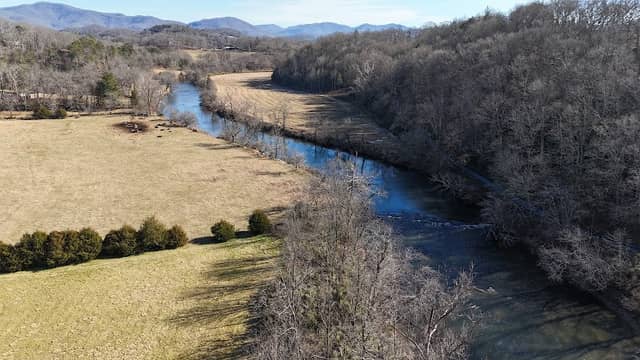 Gibson Bottoms - Image 2