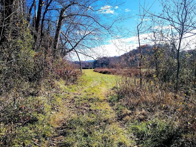 Gibson Bottoms - Image 1