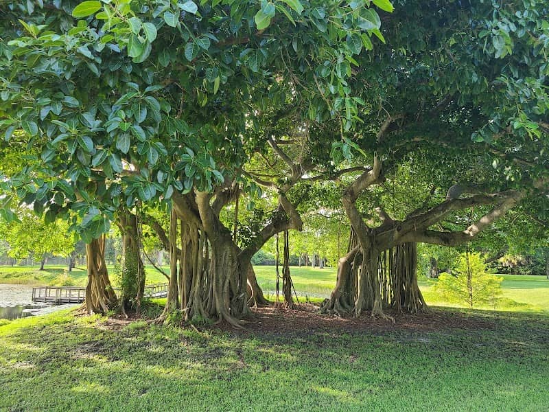 Dreher Dog Park - Image 1