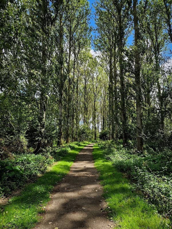 Wootton Valley Country Park - Image 1