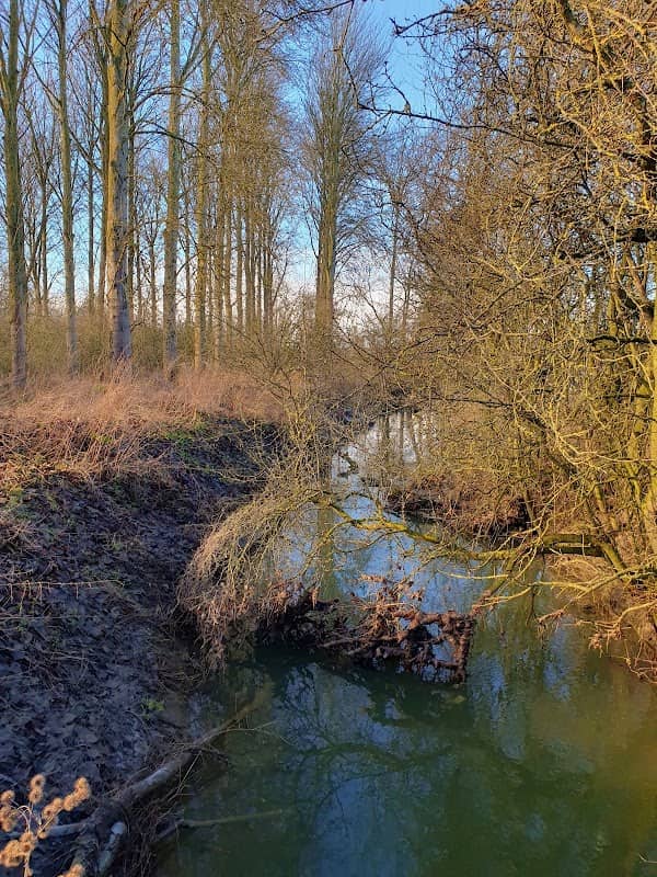 Wootton Valley Country Park - Image 2