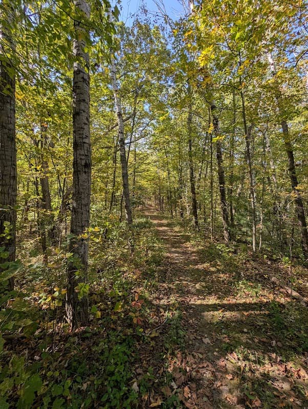 Crooked Lake Wetlands State Natural Area - Image 1