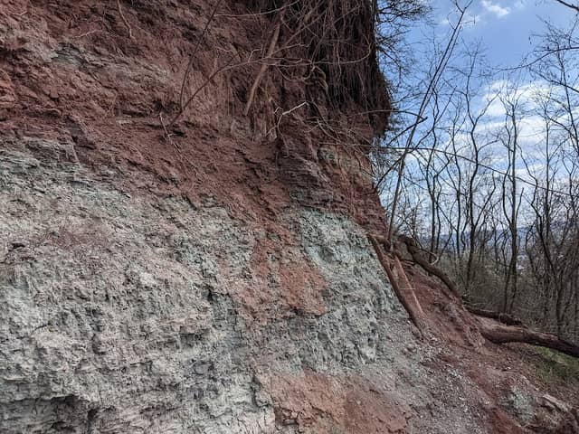 Geotop Schilfsandsteinaufschluss - Image 1