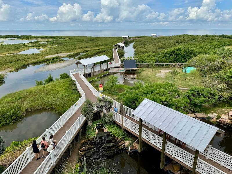 South Padre Island Birding And Nature Center - Image 3