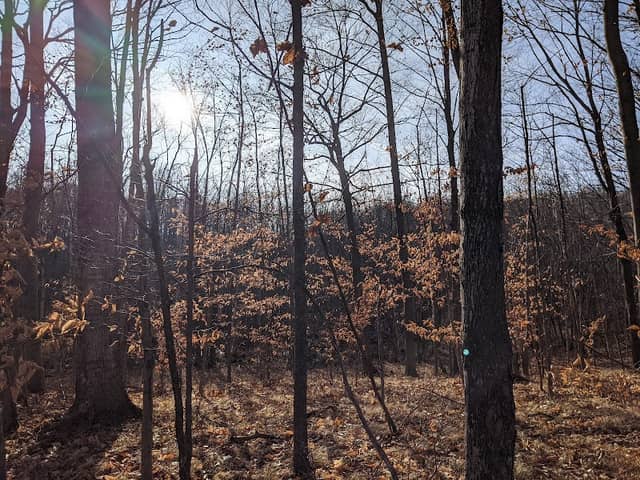 Pleasant Valley Trails And Park - Image 2