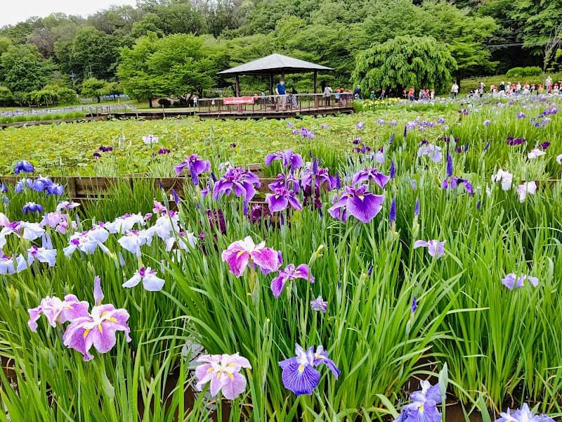 Kitayama Park - Image 1