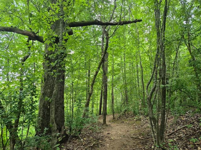 West Branch Nature Preserve - Image 2