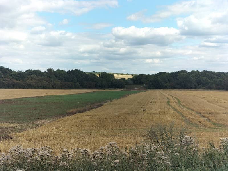 Merlin Park - Image 1
