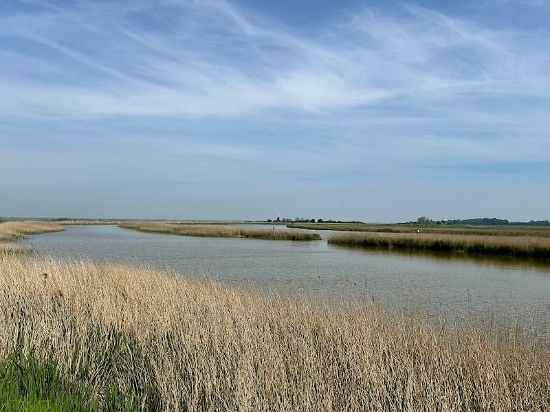 RSPB Berney Marshes - Image 2