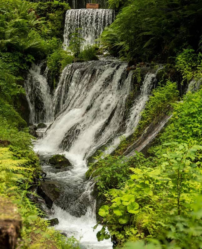 Shiraitonotaki (Shiraito Waterfall) - Image 3