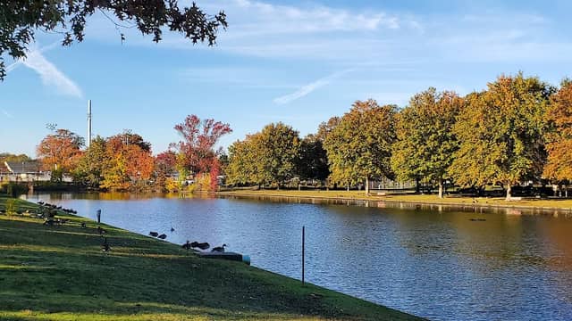 Arthur J. Hendrickson Park - Image 1
