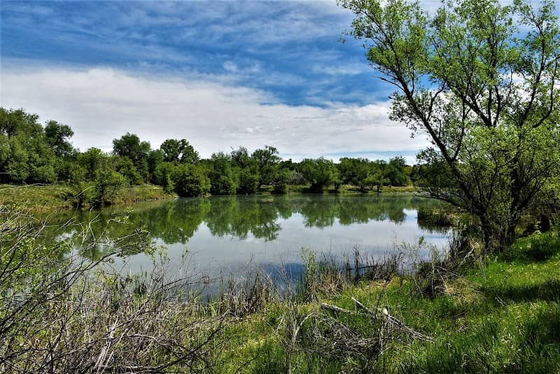 Bear Creek Greenbelt - Image 1