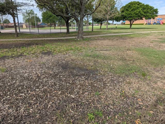 Austin School Park - Image 1