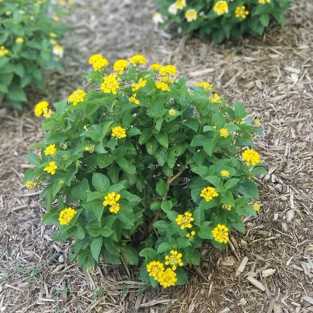 Woodcreek Park - Image 1