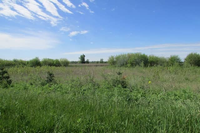 LaPorte Unit (Kankakee Fish & Wildlife Area) - Image 3