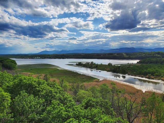 Rogers Island Wildlife Management Area - Image 2