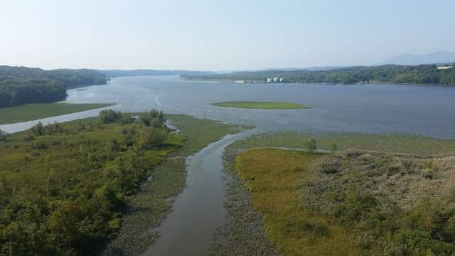 Rogers Island Wildlife Management Area - Image 3