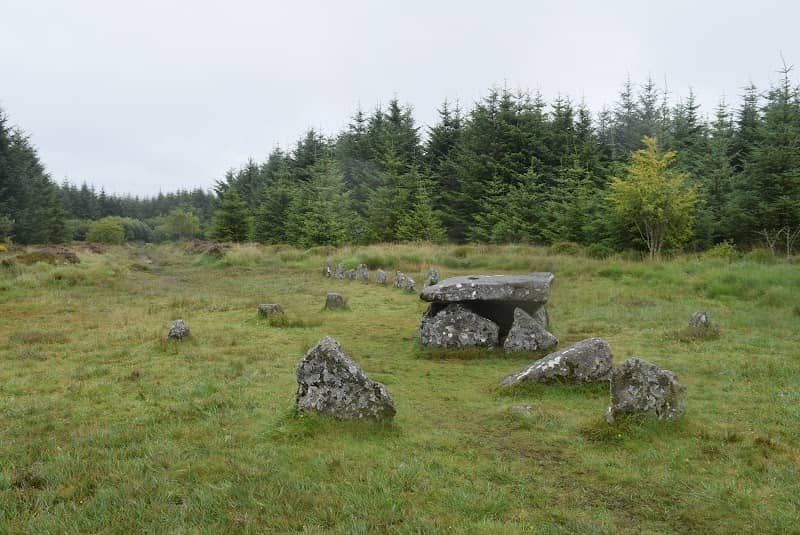 Bellever Moor & Meadows - Image 1