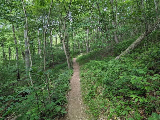 Union Mills Recreation Area - Image 1