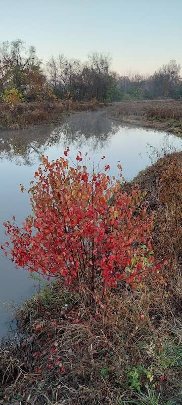Admiral Trost Park - Image 2