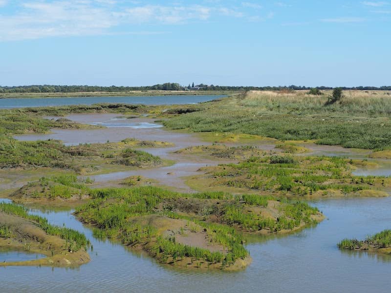 RSPB Old Hall Marshes - Image 1